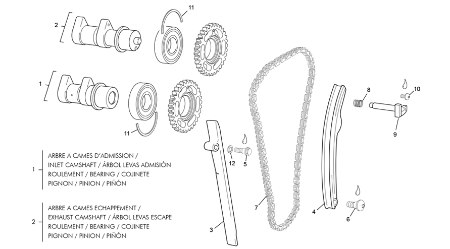 Camshaft and drive assembly