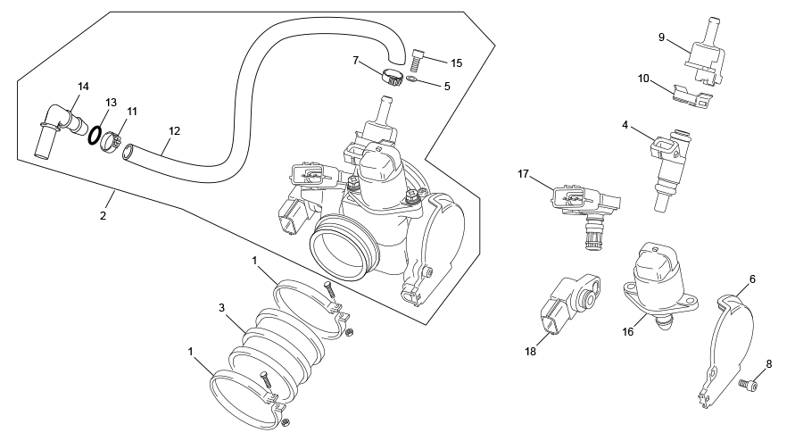 Injector body